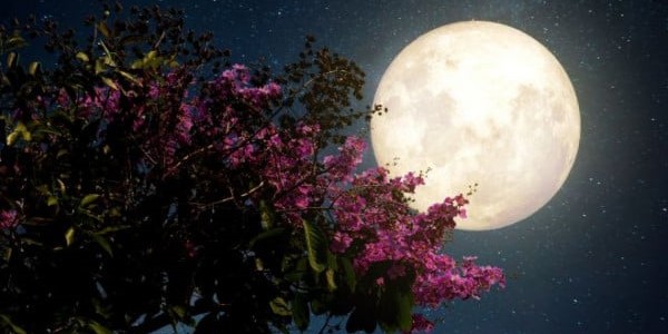 Πανσέληνος του Μαΐου απόψε με μερική έκλειψη 